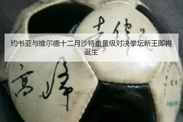 yue-shu-ya-yu-wei-er-de-shi-er-yue-sha-te-zhong-liang-ji-dui-jue-quan-tan-xin-wang-ji-jiang-dan-sheng-2-349.jpg