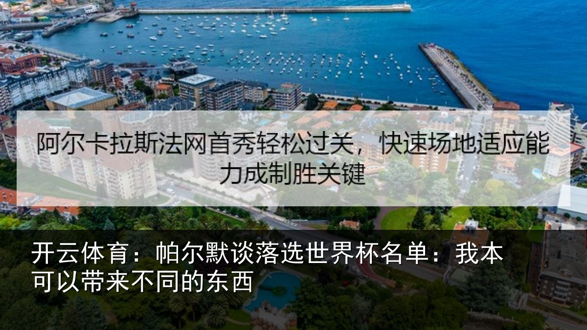 开云体育:帕尔相关情况单:我本可相关情况